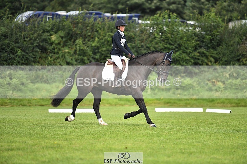 230826-110247-15711 - Sections C & D 10 to End