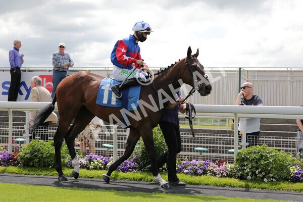 yr11062021r2-6 - Race 2 2.20pm Churchill Tyres Stakes