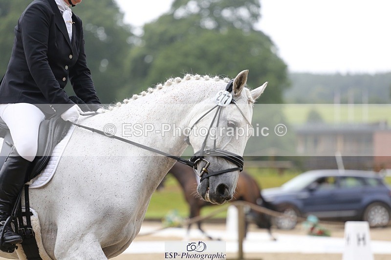 240720-143445-06209 - 277-Anita_Wilcox-Casper_Rebel