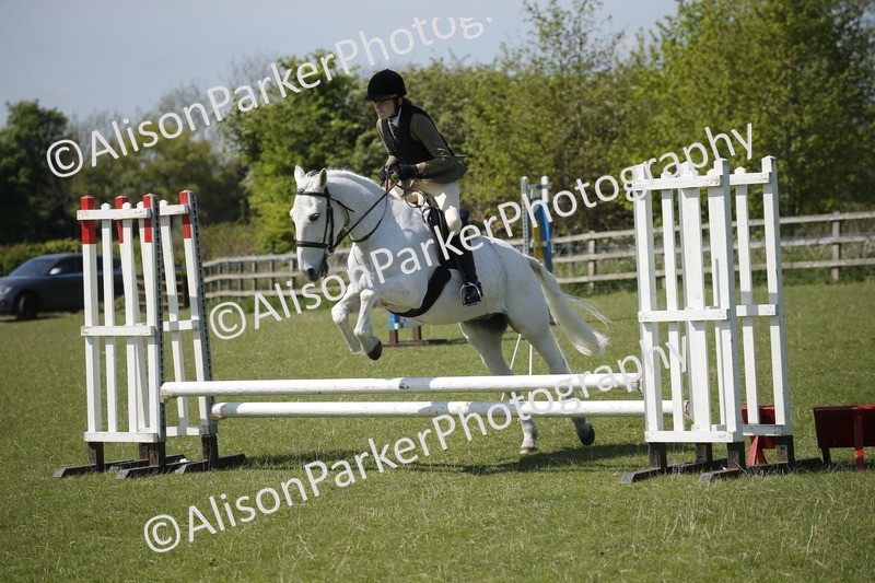 20250427-2340 - Class 13 - Novice Jumping 60cm