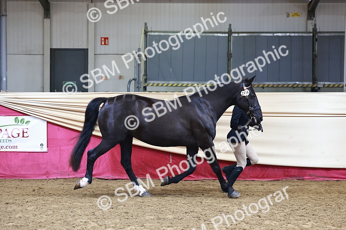 SBM_22243 - Class 902 - Supreme Final - IH Diamond