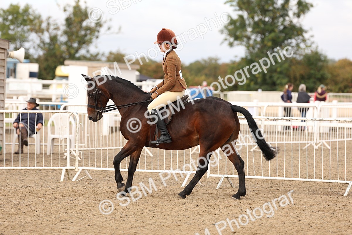 SBM_01560 - Class 52 - Ridden Veteran
