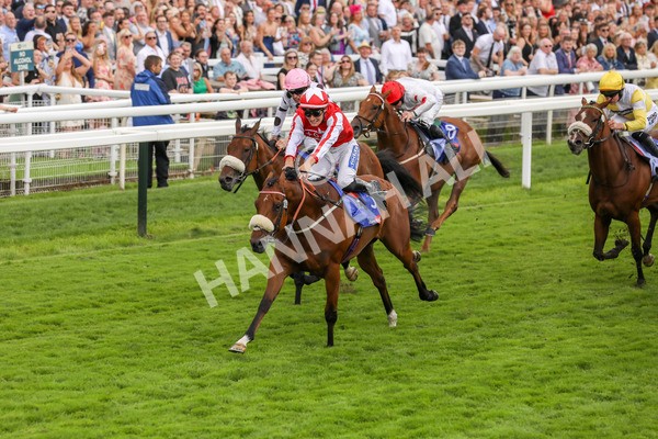 270724-Race 1-Night On Earth-4610 - Race 1 2.05pm Sky Bet 'Jump Jockeys' Nunthorpe' Handicap