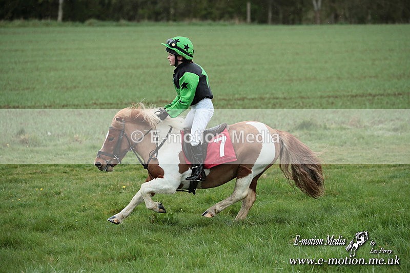 SHETPR 210425 225 - Shetland Ponies Paxford Races 21/04/25