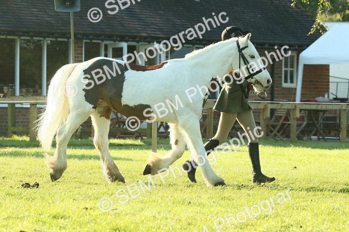 SBM_57333 - S37 - Starters In Hand Showing