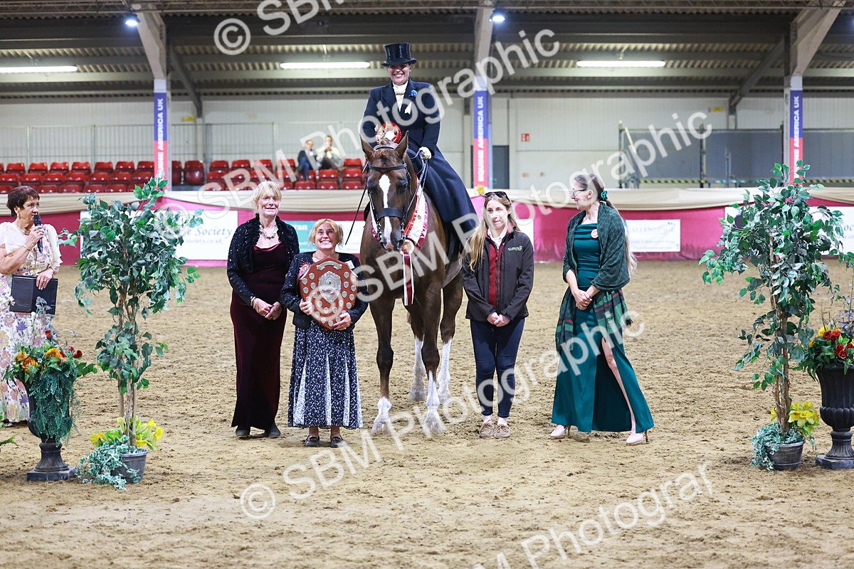 SBM_15451 - Class Q - Ridden Horse Champ