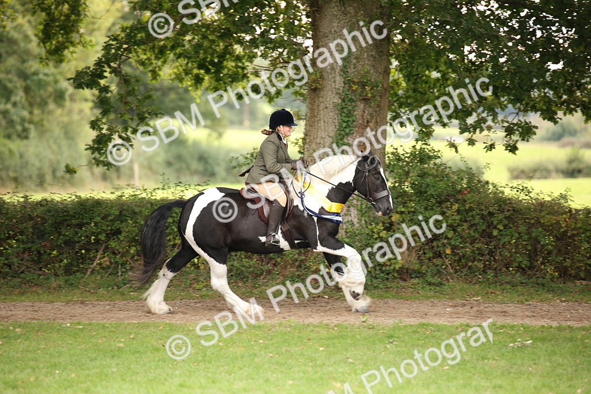 SBM_73659 - Ridden Horse Supreme Championship