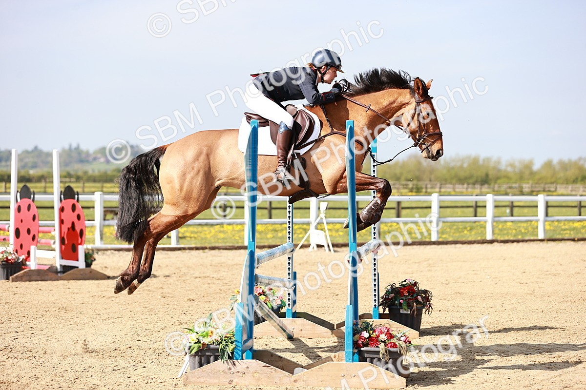  - Class 21 - Senior British Novice - 90cm