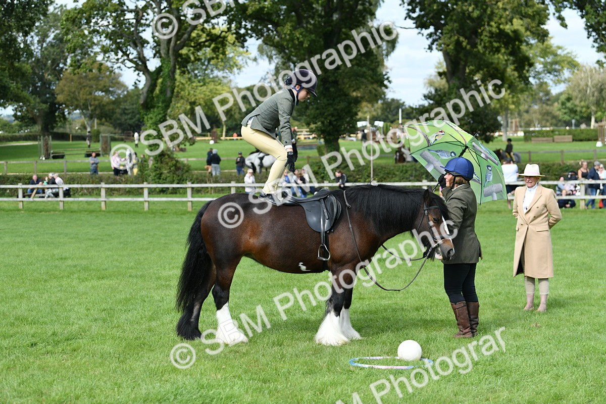 SBM_46930 - S12 - Family Horse & Pony