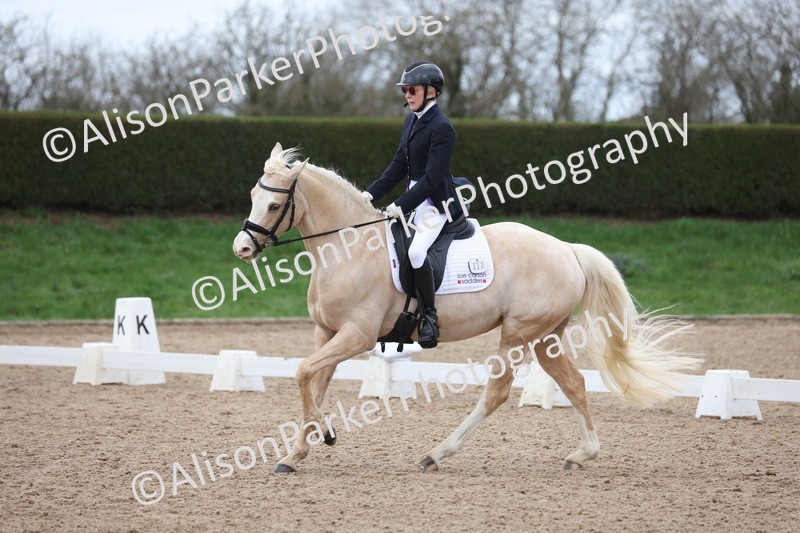 20260301-0472 - Class 3 - Novice 4