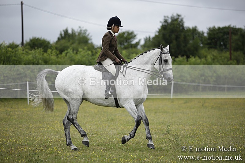 BVR160717-767 - Ring 1 BVRC Show 16/07/17