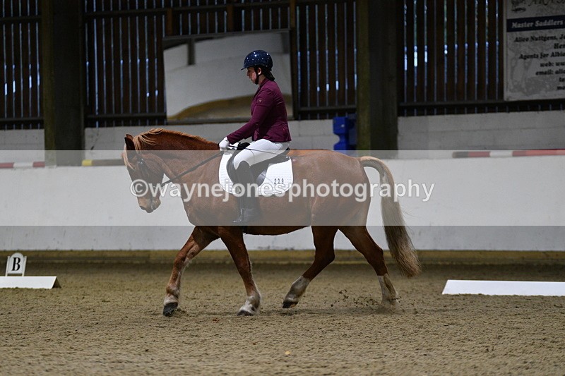 WJ5_8609 - Class 5 Novice Test 3
