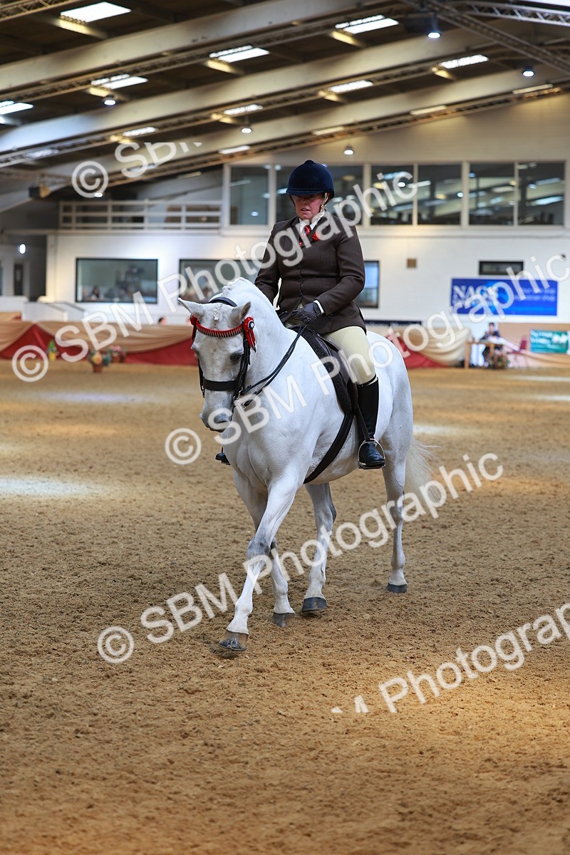SBM_12559 - Class 103 - HOYS Veteran Qualifier - Ridden Pre Vet