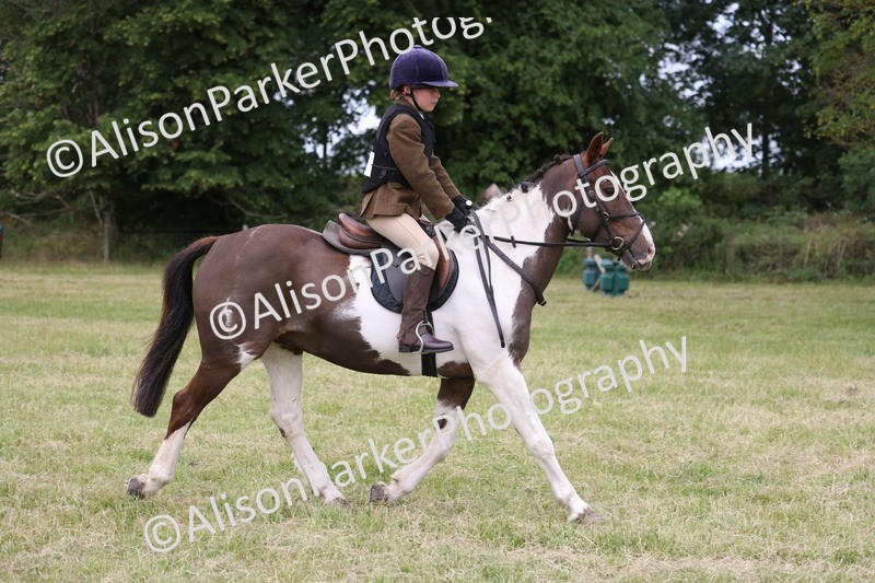 20260614-3065 - Class 22 - Open Working Hunter