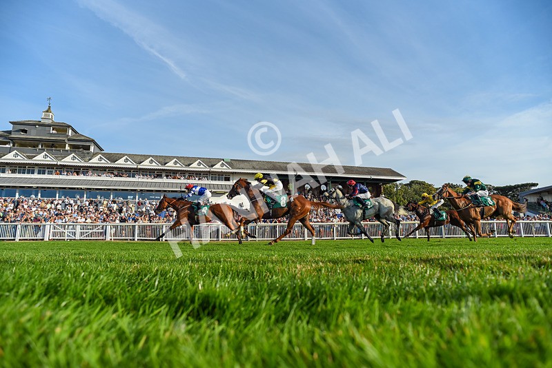 140826-Race 3-Equity Law-6610 - Race 3 18.43pm Heineken 0% Handicap