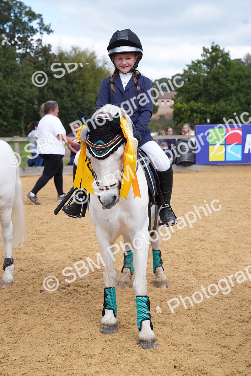 SBM_64531 - J2 - Mini Tour Junior Pony 30cm Championship