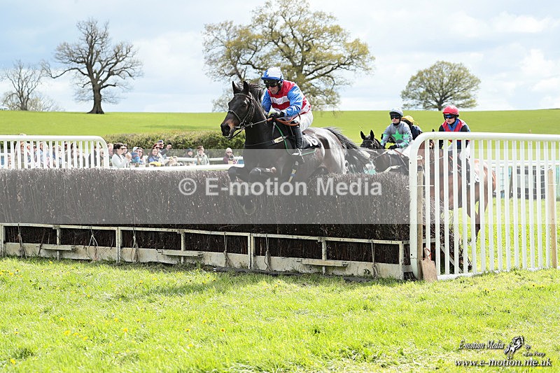 PtP 180426 279 - Worcestershire Hunt PtP Chaddesley Corbett 18/04/26