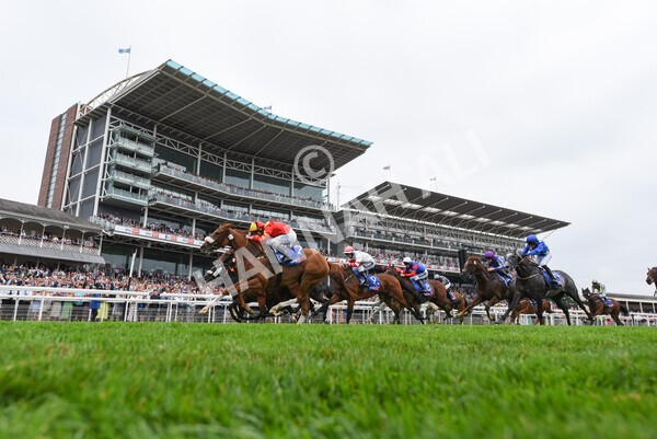 yr23072022r2-32 - Race 2 2.40pm Sky Bet Dash