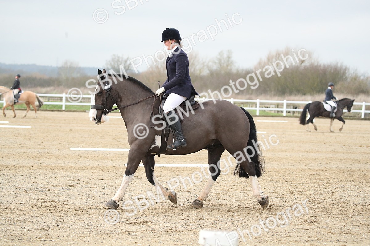 SBM_003079 - BRC Prelim B