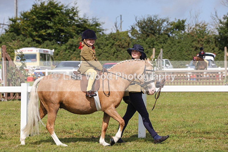 1X9A3553 - Class 29: Lead Rein SP/SHP