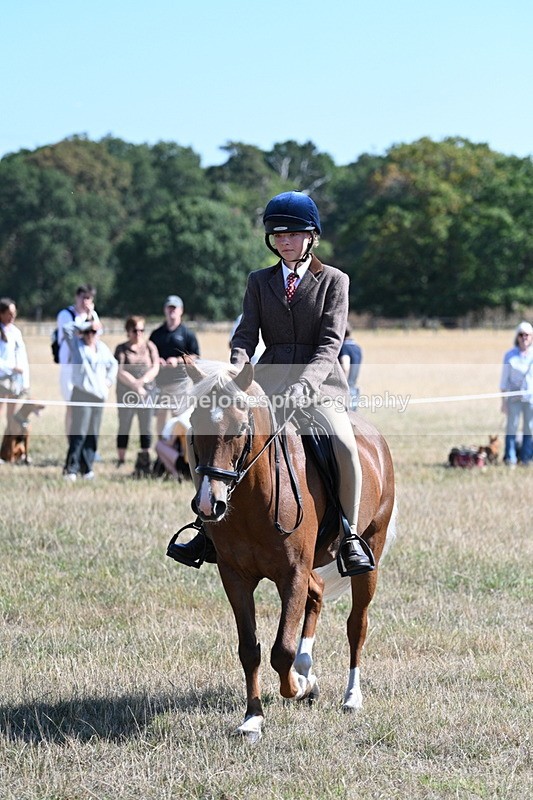 WJ7_4009 - Class 9 Mountain & Moorland Ridden