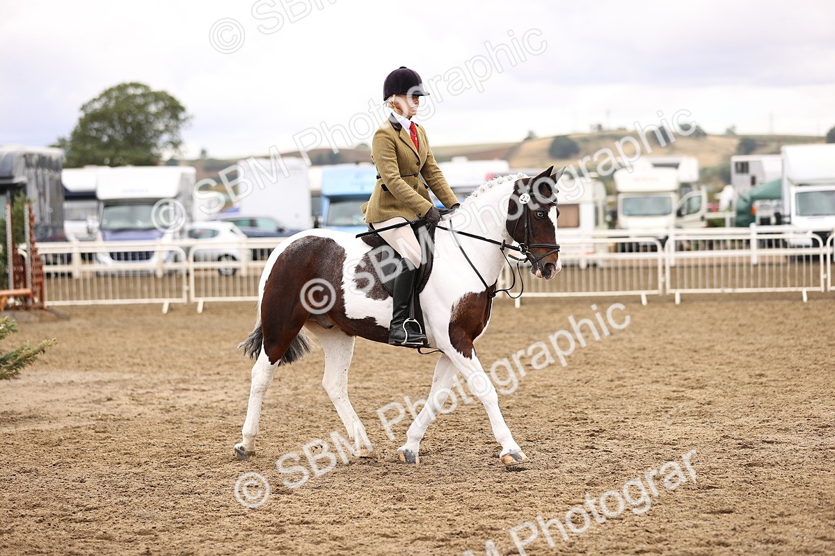 SBM_01418 - Class 54 - Riding Club Horse Pony
