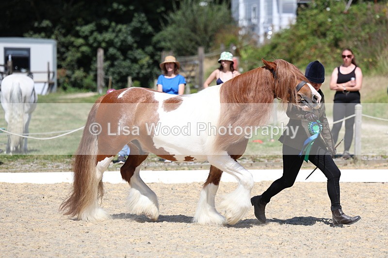 3E7A9875 - In Hand Championship