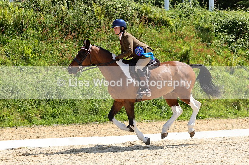 1X9A1932 - Class 12: Ridden Riding Horse/Hack