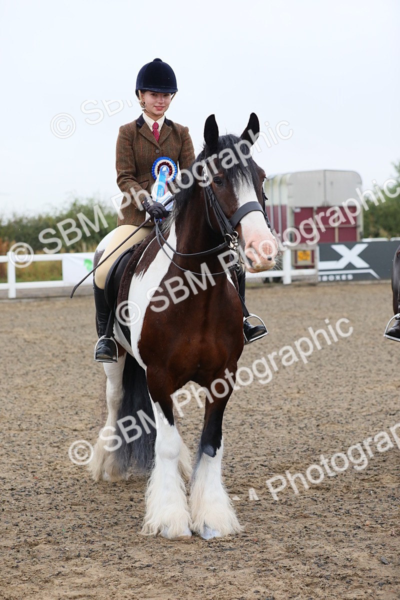 SBM_19965 - Class 801 - Ridden Veteran
