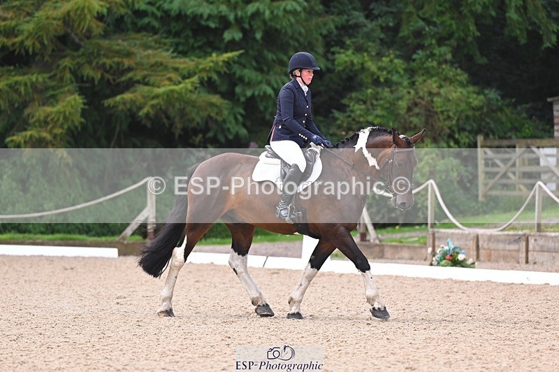 240809-102641-00189 - 112-Caroline.Hutchens-Clogorrow's.Socky