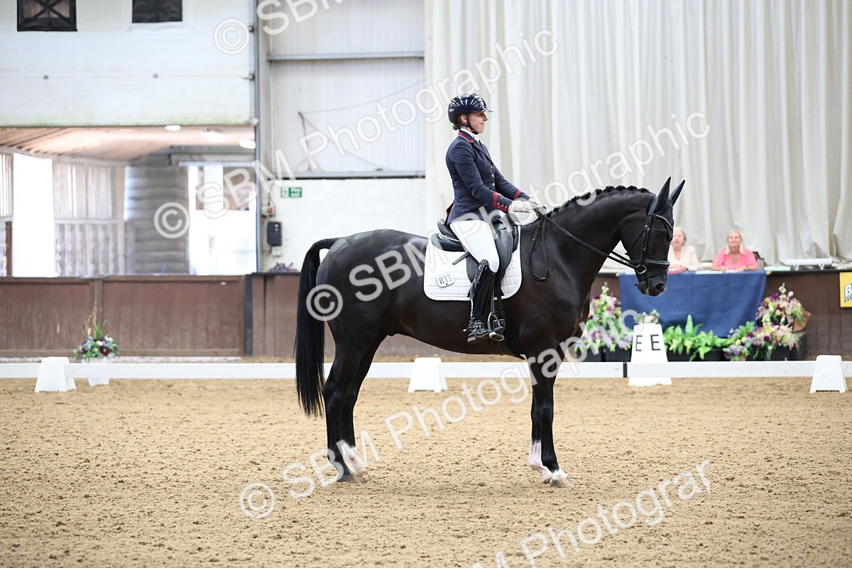 SBM_002206 - Class 5 - Novice 6 Gold - 9.00-10.10