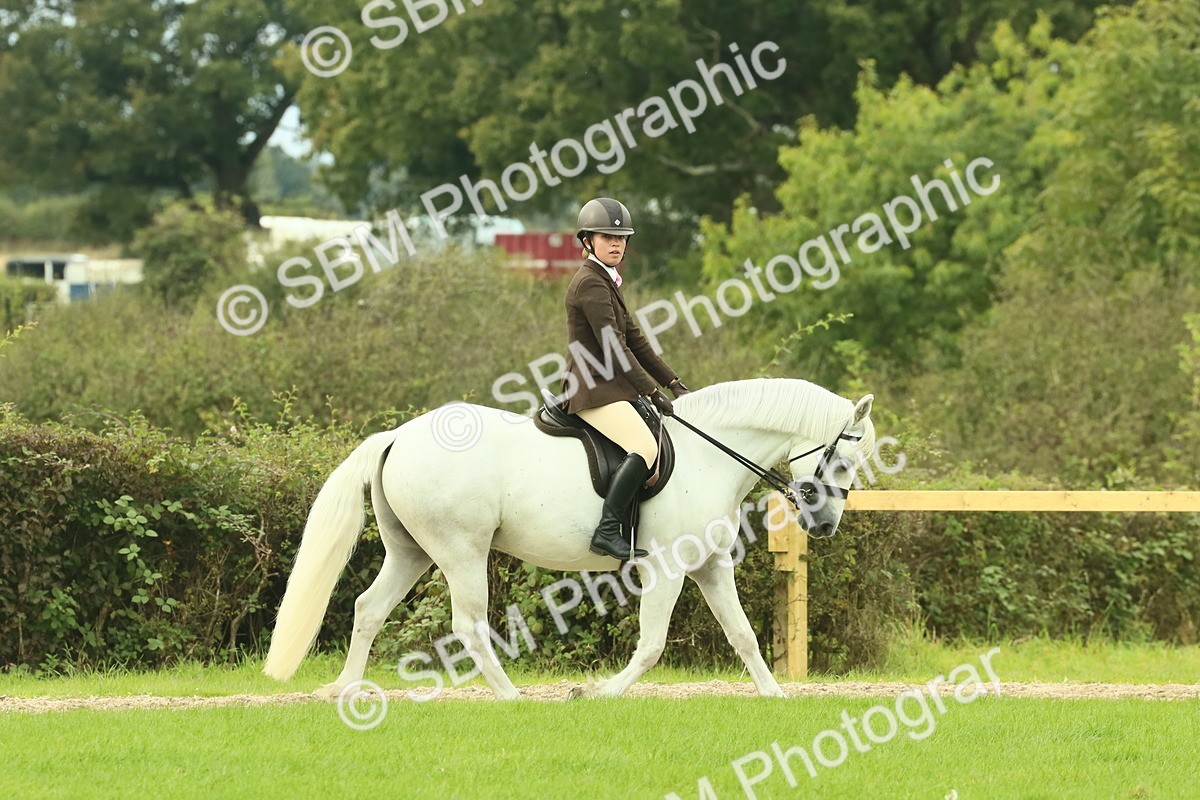 SBM_71837 - S60 - Mountain & Moorland Ridden Large Breeds