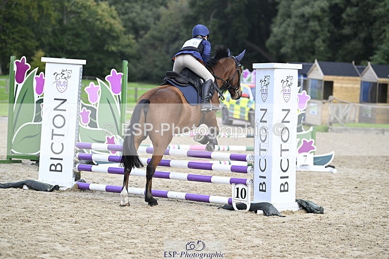 251005A-121249-03653 - Cls 08 Mini 70-75cm