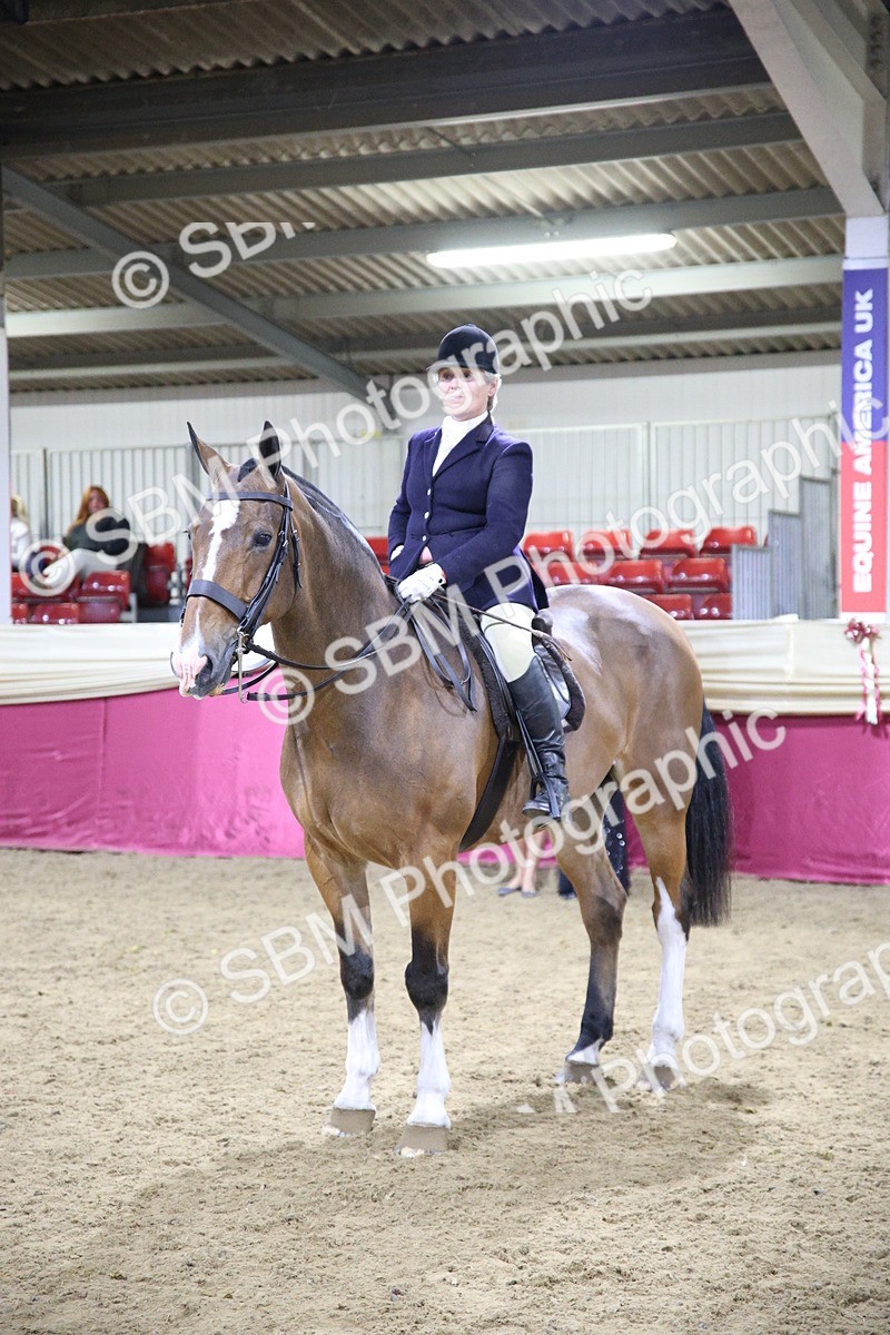 5K7A1561 - Class O Ridden Show Horse Champ