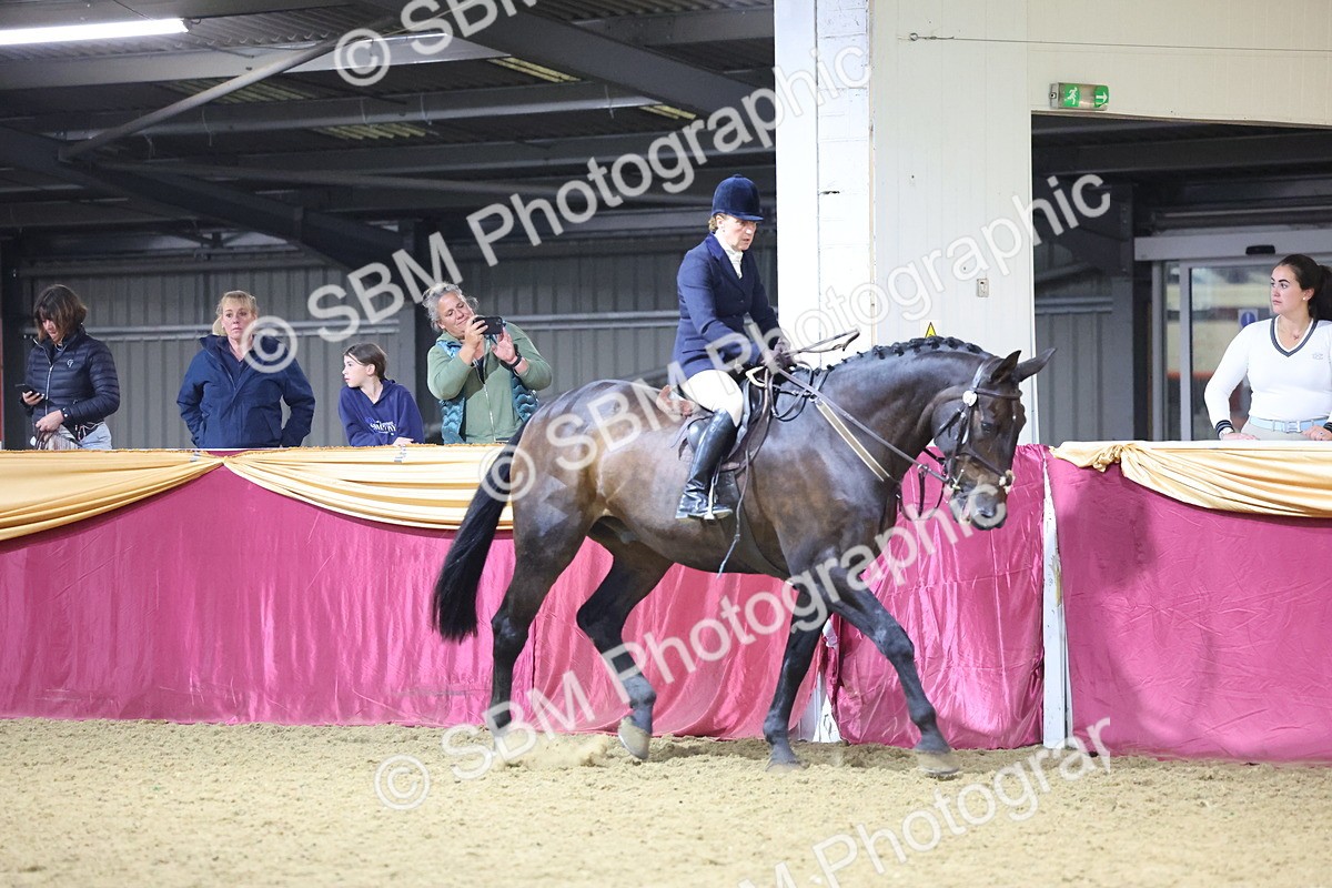 0B8A4640 - Class R Working Veteran Champ