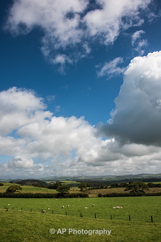 ACP_2448-1 - Rural Views