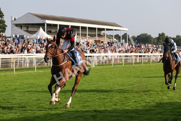 yr05092021r7-24 - Race 7 5.10pm Yorkshire Regiment Stakes