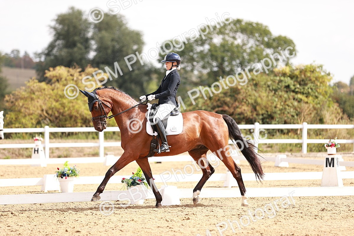 SBM_017645 - Class 11 - Advanced Medium 6