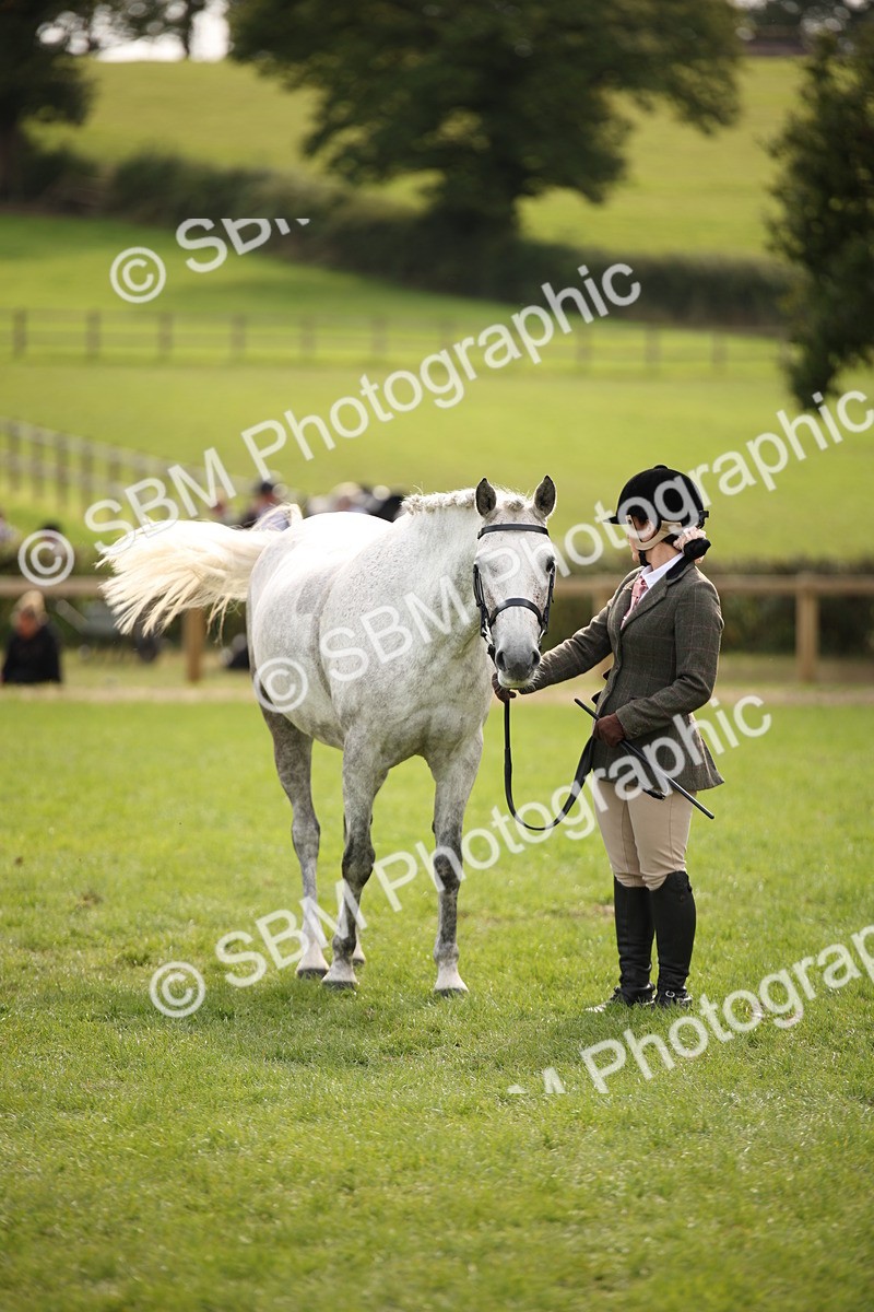 SBM_70415 - S66 - Hunter Ridden