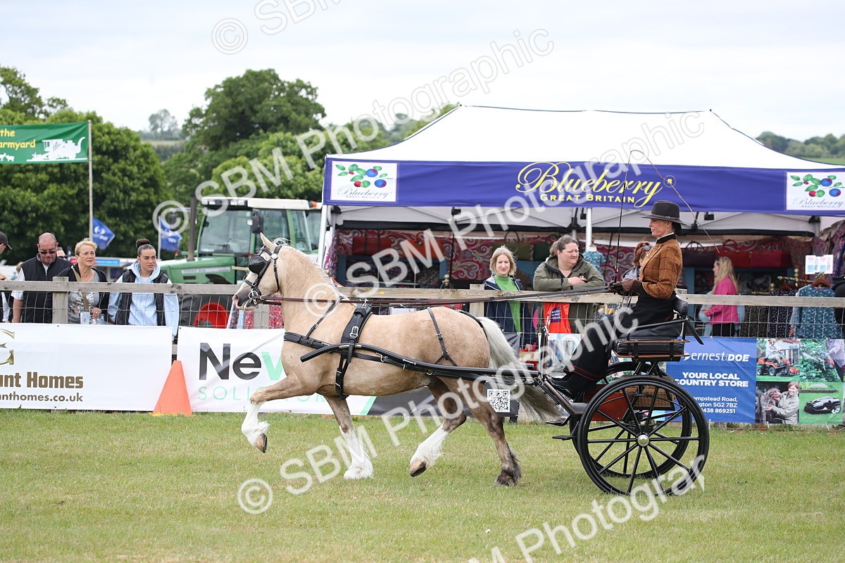 SBM_05646 - Class 12-15 - HOYS Private Driving