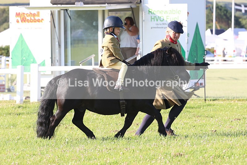JPP_0678 - Class 16: Cornish Combination Leading Rein