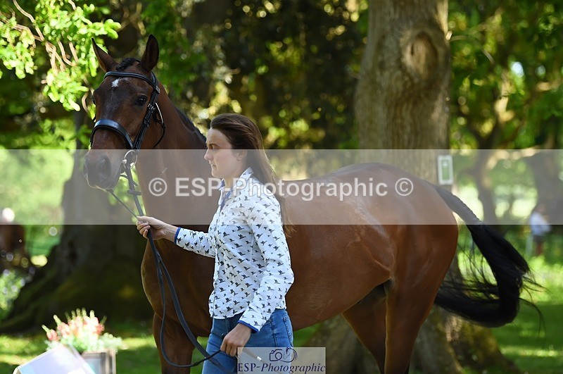 230524-153052-00320 - 373-BENGAL_LORE-Pippa_Taylor-WEDTrotUp+DR