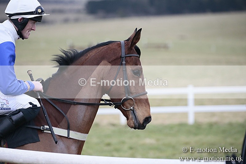 PtP 180218 356 - Combined Services Point-to-Point Larkhill 18/02/18