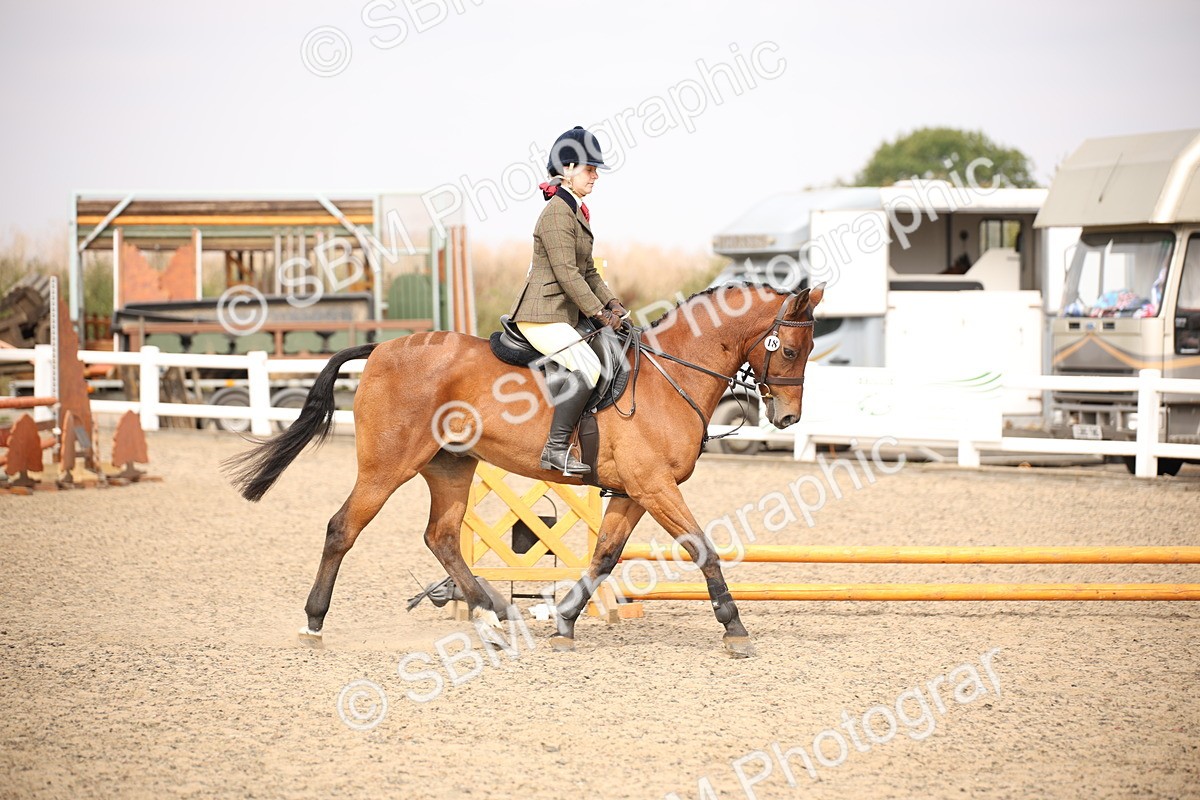 SBM_12899 - Class 406a - Working Veteran 50cm (15-19)