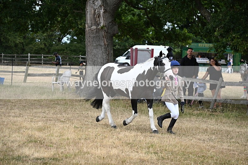 WJ6_8121 - Class 10 Coloured in Hand