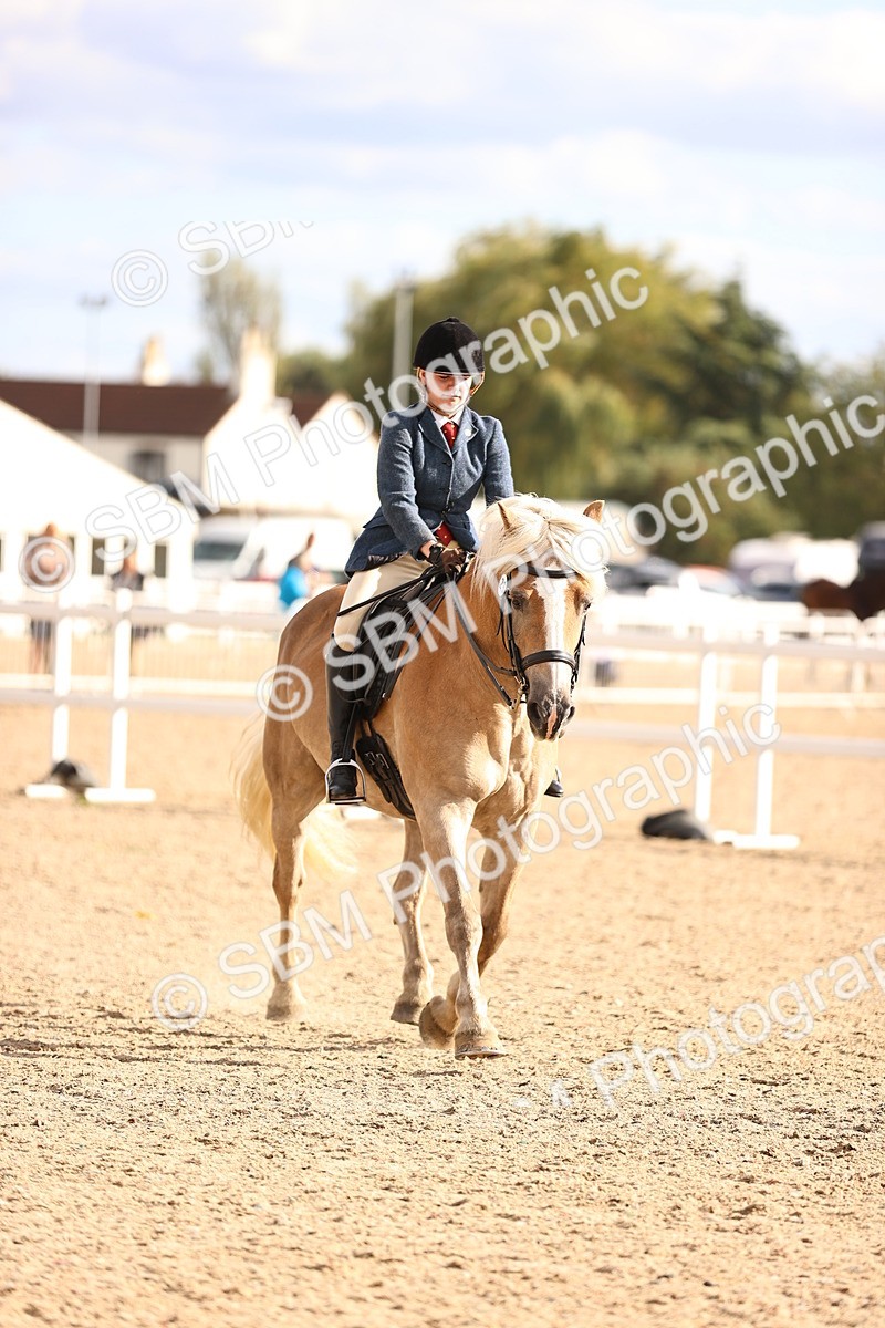 SBM_18225 - Class 423 - Equitation (best rider) Adult