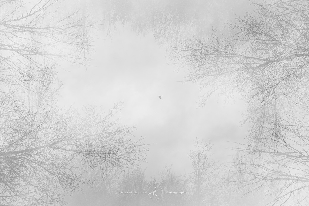 Flaps down - Revealed