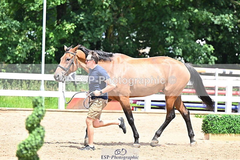 240718A-105310-01643 - Trot Up 1pm to 2pm