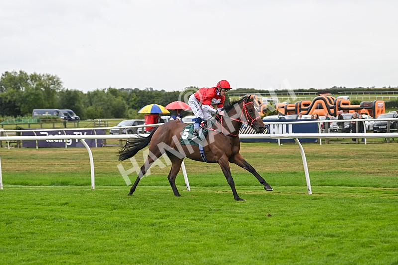 270825-Race 2-Rogue Attraction-4864 - Race 2