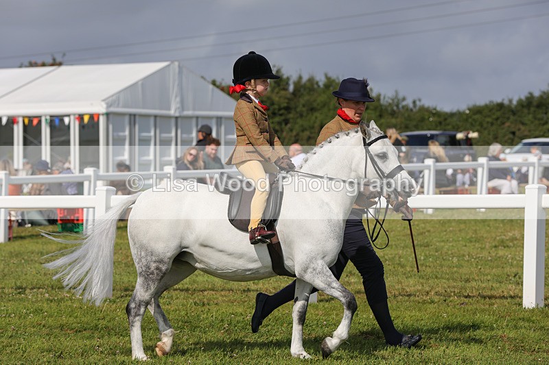 1X9A3594 - Class 29: Lead Rein SP/SHP
